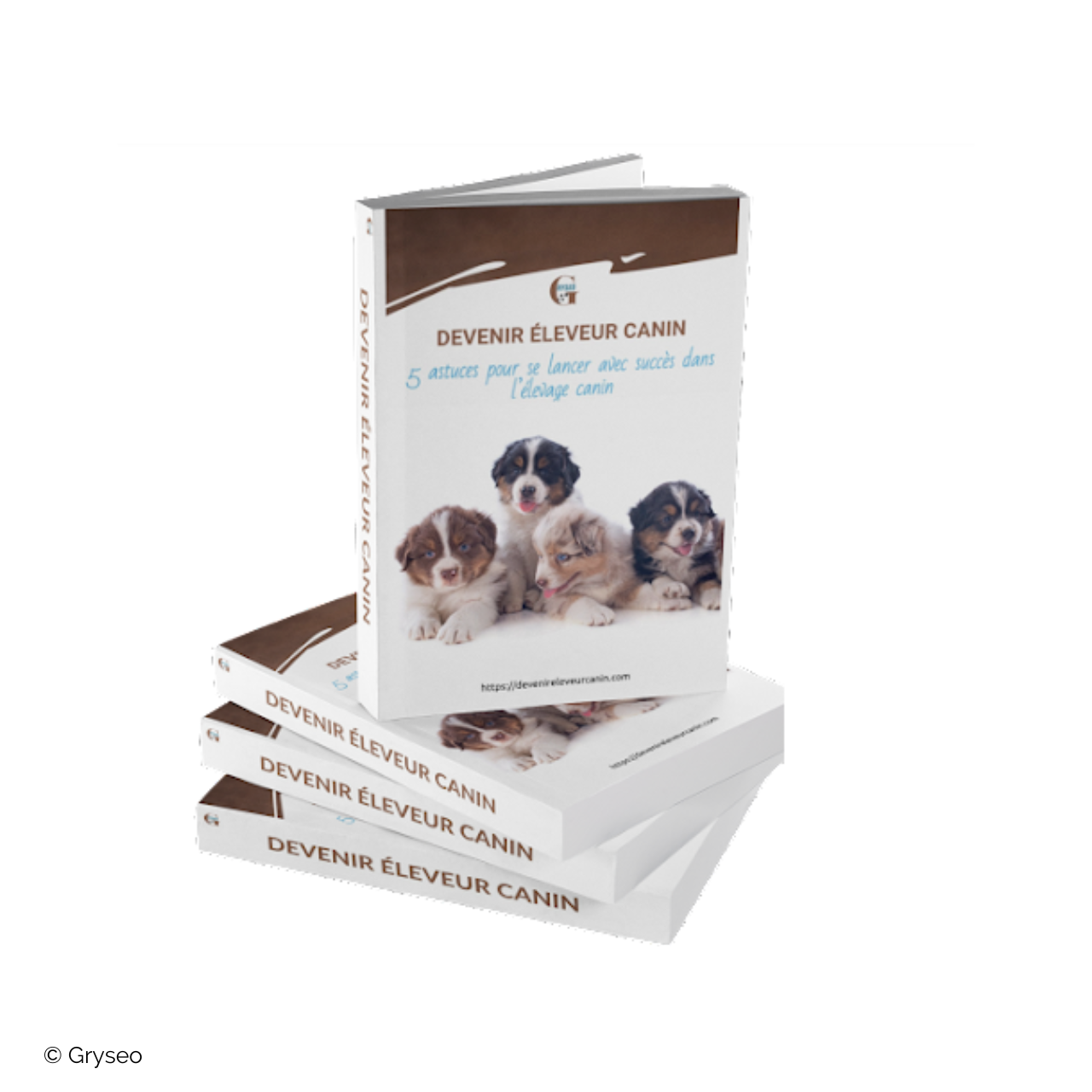 Projet client : Avinim