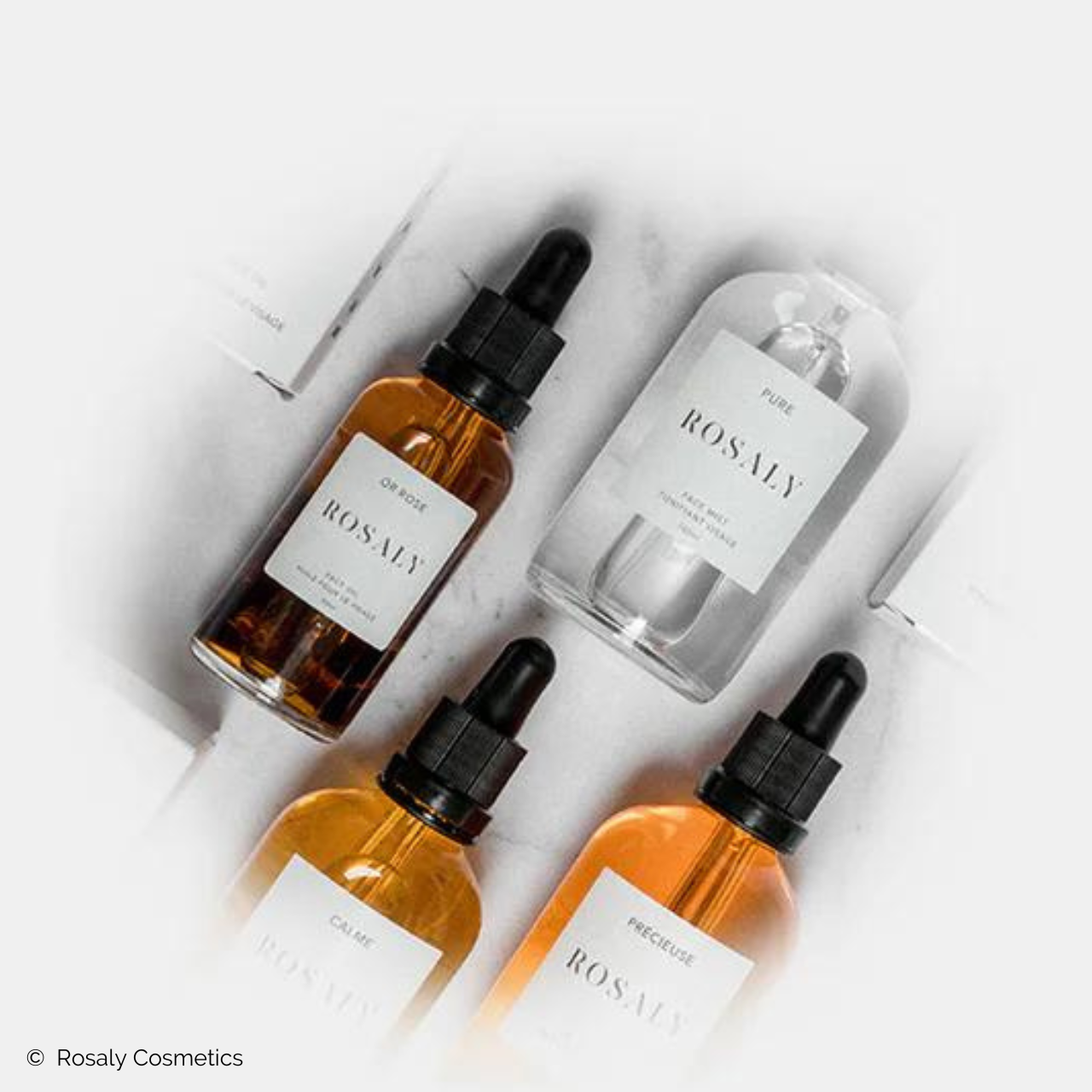 Projet client : Avinim