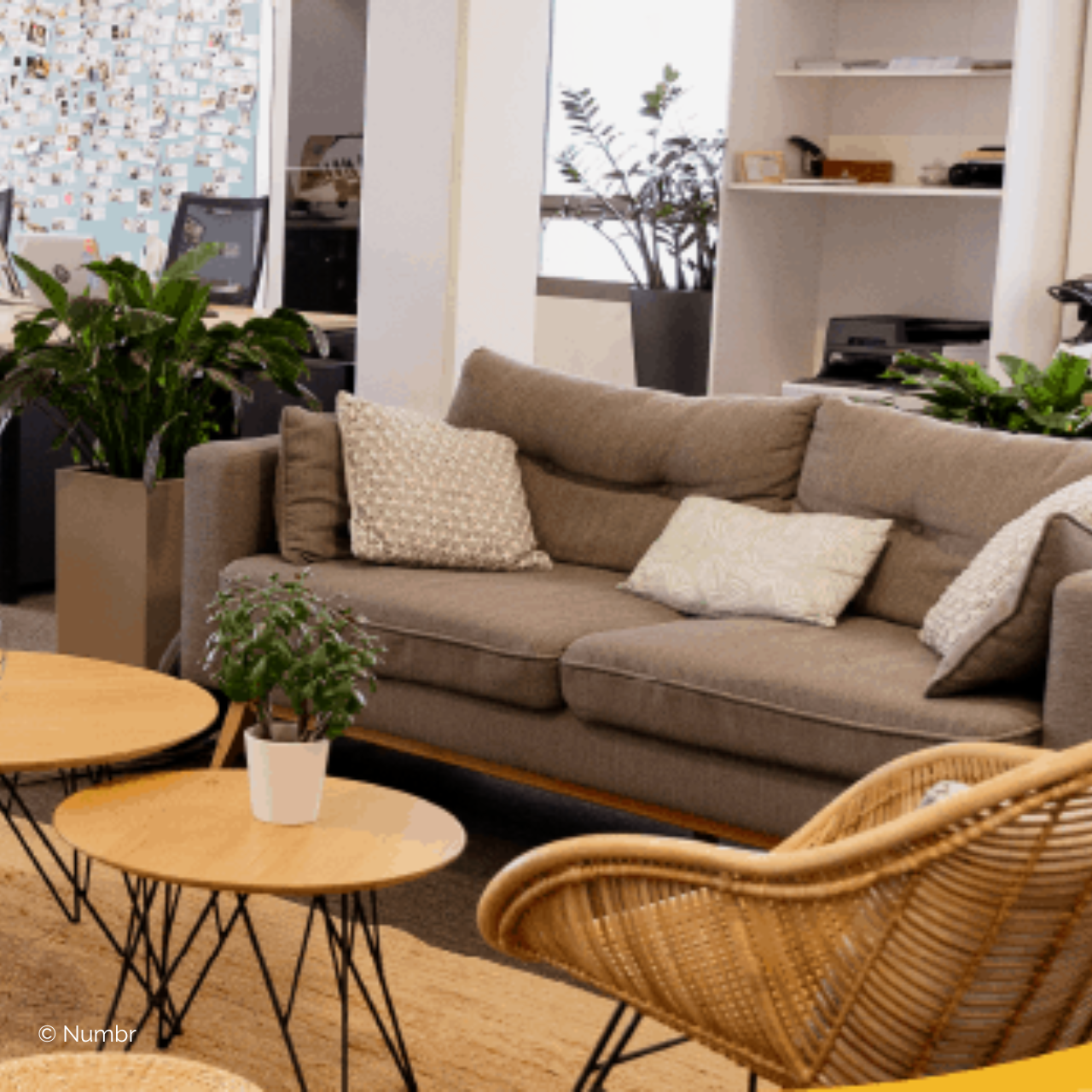 26-1 Projet client : Avinim