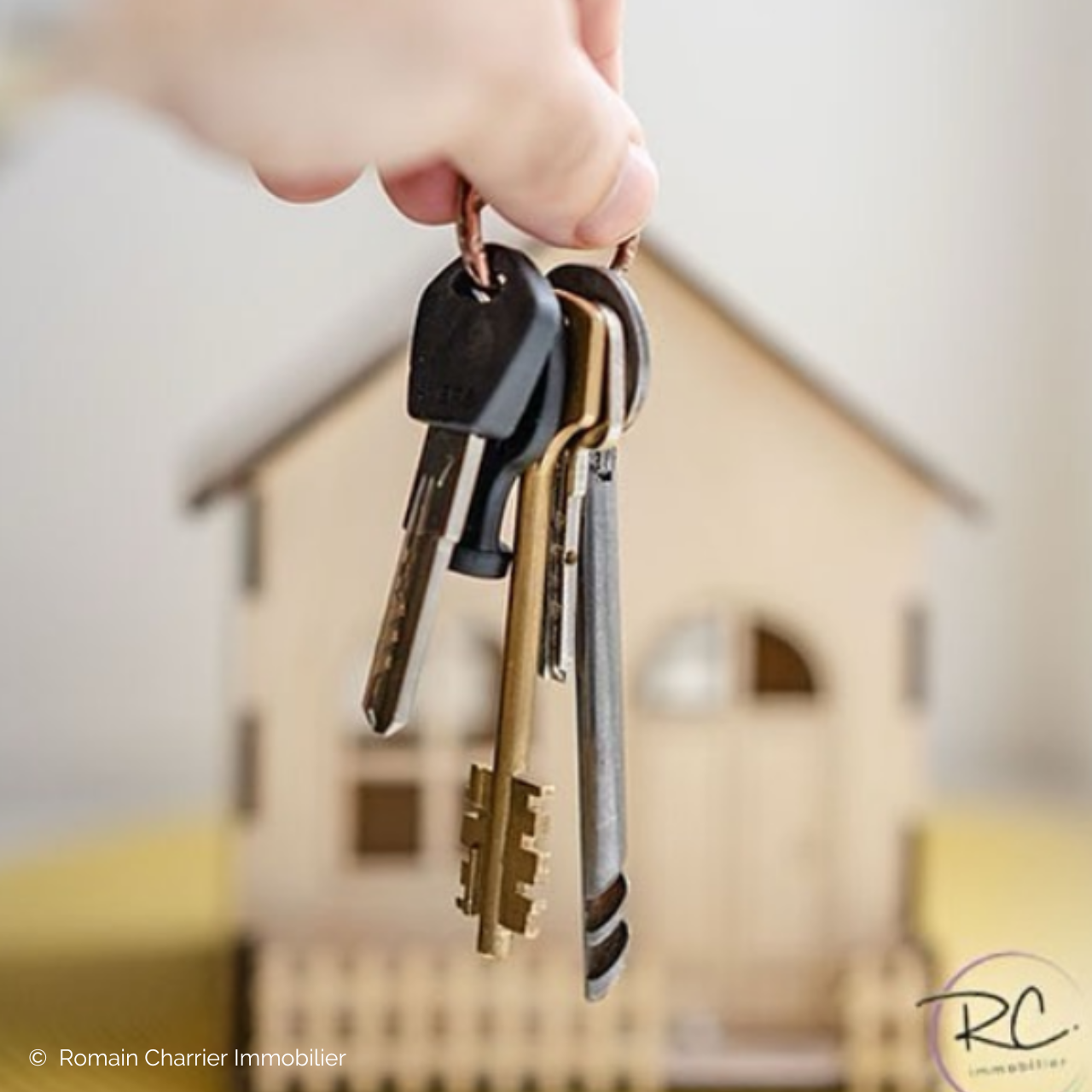 Projet client : Avinim