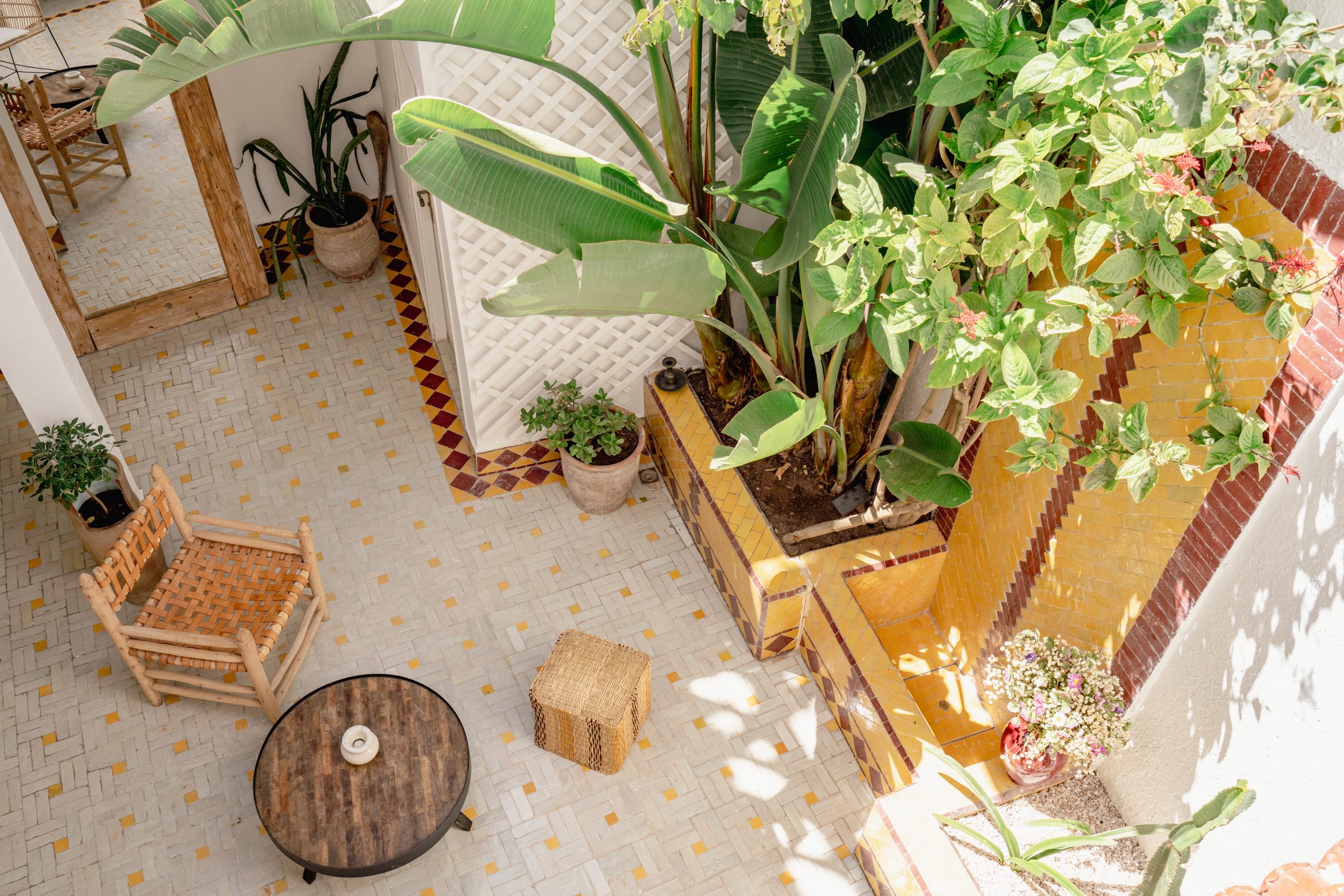 Projet client : Avinim